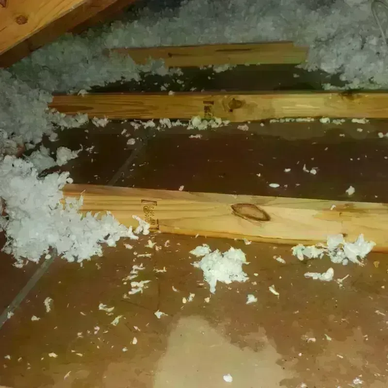 Attic Water Damage in West Glendive, MT