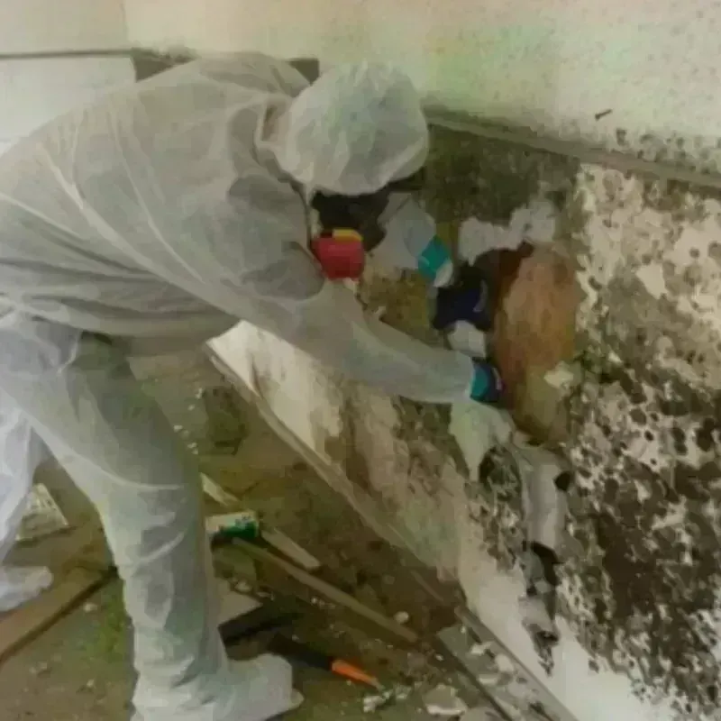 Mold Remediation and Removal in West Glendive, MT